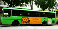 韓国の路線バス（一般バス・緑